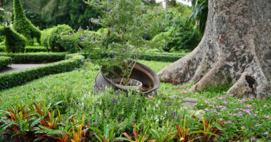 جياتاماتا أوديان (راني باوغ). حديقة حيوانات وحديقة نباتية تاريخية في مومباي